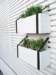 image00008_small.jpg